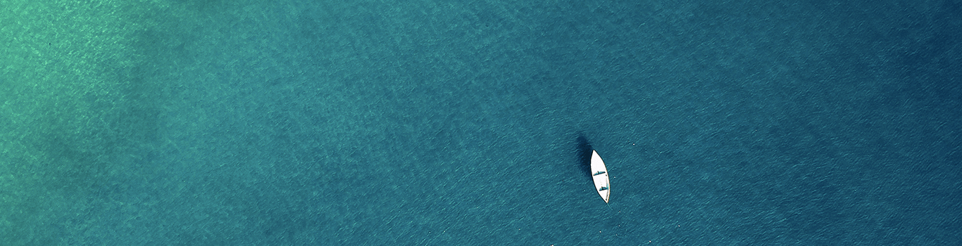 Ocean Powerbanner